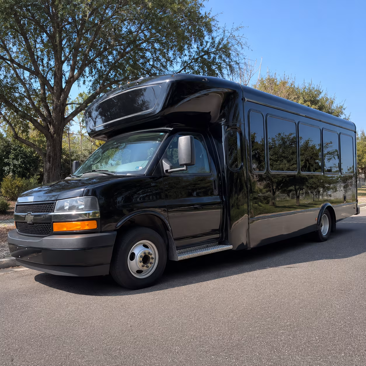 santa ana birthday party bus rental